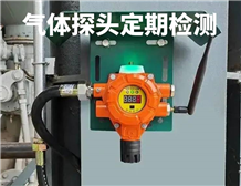 GB 12358-2024《作業(yè)場所環(huán)境氣體檢測報(bào)警儀器 通用技術(shù)要求》更新